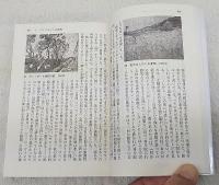 ゴッホ : この世の旅人