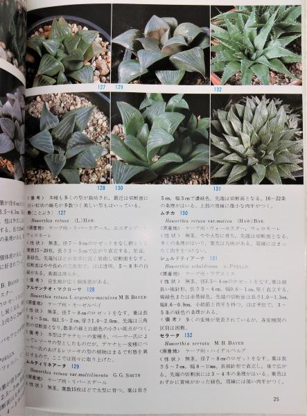 原色多肉植物写真集 日本多肉植物の会 編 ぶっくいん高知 古書部 古本 中古本 古書籍の通販は 日本の古本屋 日本の古本屋