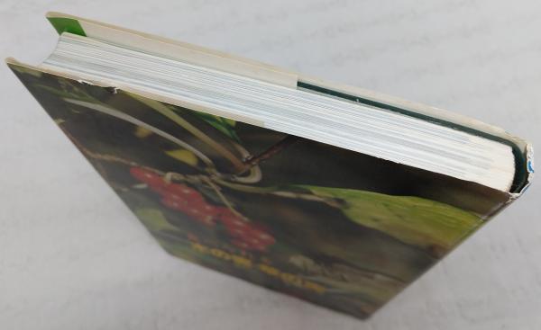食べられる木の実草の実(信州山の幸研究会 編) / 古本、中古本、古書籍