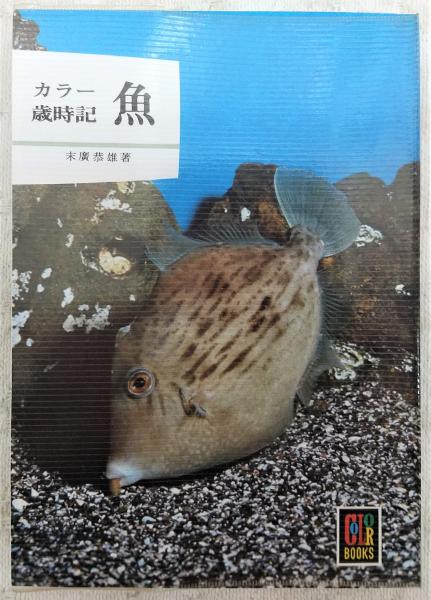 阿部青鞋句集「続・火門集」(阿部青鞋) / ぶっくいん高知 古書部