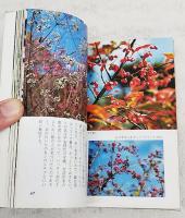 木の実・草の実