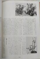 ばら : 品種と新しい栽培