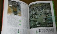 記紀神話の秘密