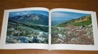  写真集　早池峰山の四季 
