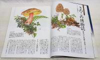 BASHO  芭蕉　1999年11月号　（特集：きのこ日和 効くきのこ・美味しいきのこ・毒きのこ、「効くきのこ」は効くか、役に立つ毒きのこ図鑑、きのこと中国薬膳　他）