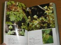 北海道植物教材図鑑 : 野の花