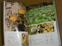 北海道植物教材図鑑 : 野の花