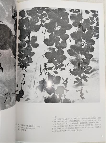 俵屋宗達 : 料紙装飾と扇面画を中心に (開館30周年記念特別展)(大和