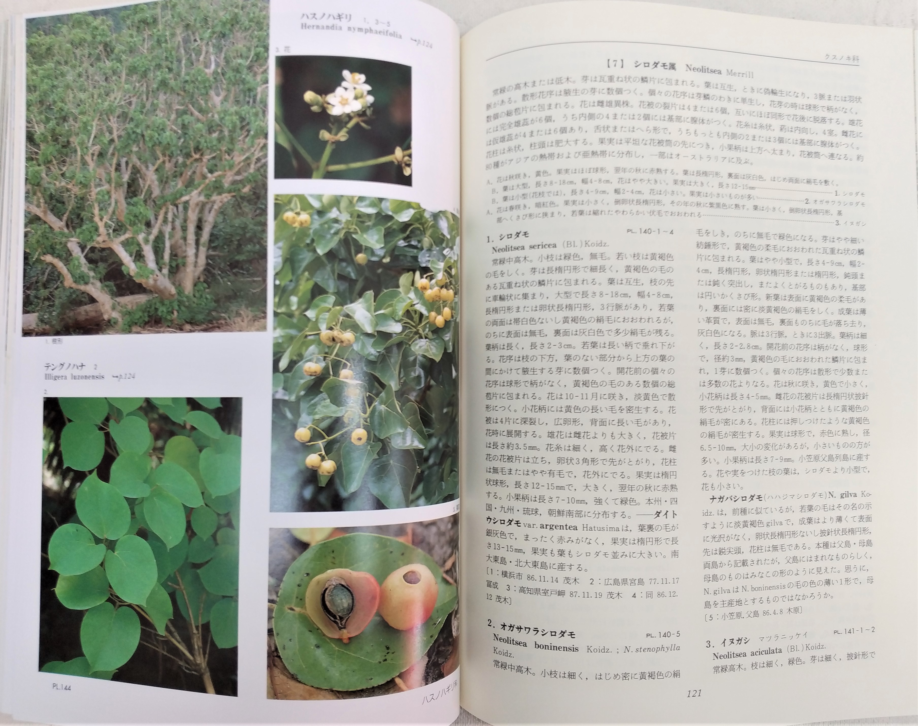 日本の野生植物 木本 全2巻揃い(佐竹義輔、原寛、亘理俊次、冨成忠夫 
