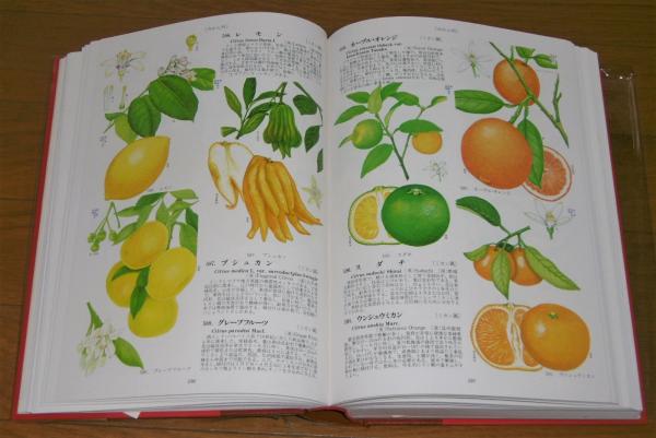 原色園芸植物大図鑑 / 古本、中古本、古書籍の通販は「日本の古本屋 