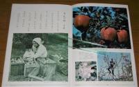 「いろいろな　くだもの」こどもの科学　カメラかんさつ　Vol.2  No.18  ぎんのすず編
