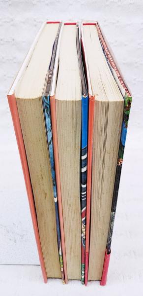 少年王者 豪華復刻版 全3巻揃い （第1集、第2集、第3集）(山川惣治