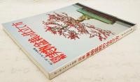 図解実物盆栽の仕立て方