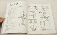 図解雑木盆栽の仕立て方