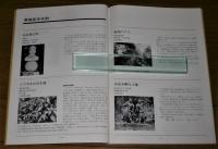土佐市の文化財　(高知県土佐市)