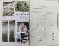 真夏の大崩落 : 長野市地附山地すべり災害の記録