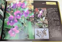 四季を彩る薬草の花：いのちの花こころの花