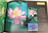 四季を彩る薬草の花：いのちの花こころの花