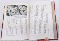 仏教史