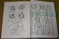 人体性解剖学図説