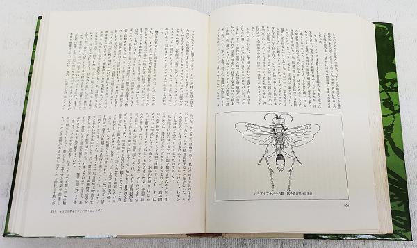自然観察者の手記 : 昆虫とともに五十年(岩田久二雄 著) / 古本、中古