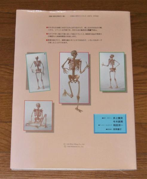 ボーニー : 人体骨格模型 / ぶっくいん高知 古書部 / 古本、中古