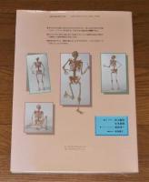 ボーニー : 人体骨格模型