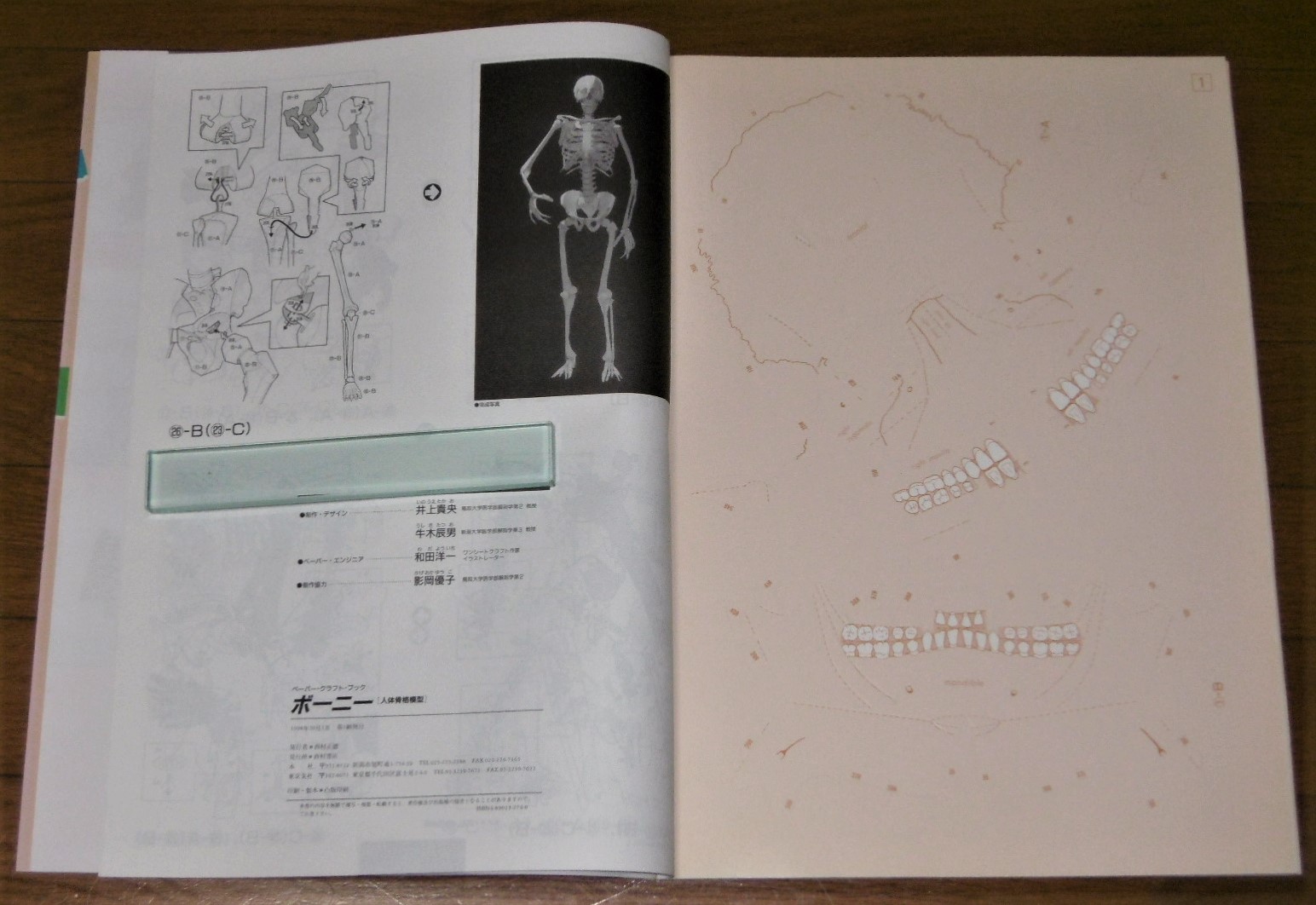 Amazon.co.jp: 球体関節人形制作 基礎編 (ISHINSHA BOOK) : 大竹