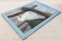 白鳥の湖