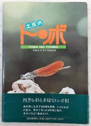 土佐のトンボ : アウトドアライフKochi