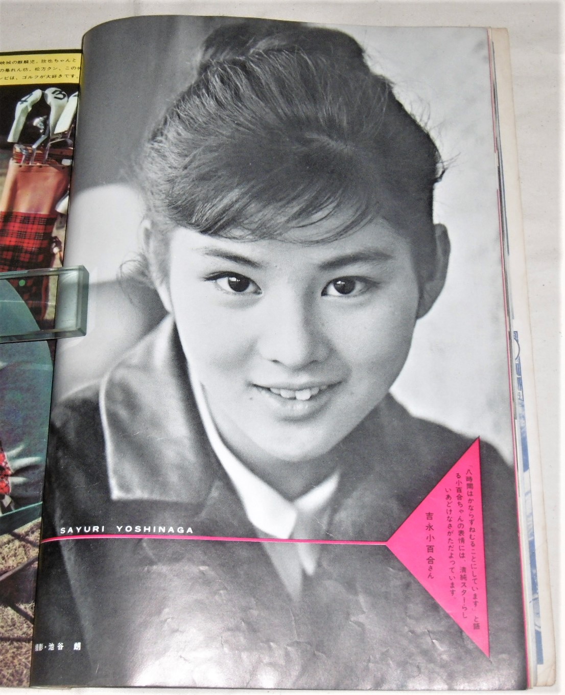 藝能画報 昭和36年5月号 創刊10周年記念特別号 (佐久間良子岩下志麻浅丘ルリ子小林旭中村玉緒桑野みゆき丘さとみ吉永小百合…他)   ぶっくいん高知 古書部  古本、中古本、古書籍の通販は「日本の古本屋」  日本の古本屋