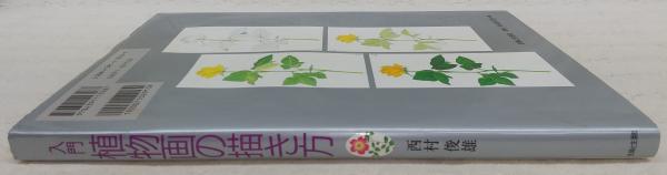 入門植物画の描き方(西村俊雄 著) / 古本、中古本、古書籍の通販は