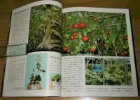 トマトの巨木は何を語りたいか : ハイポニカの科学・水気耕世界