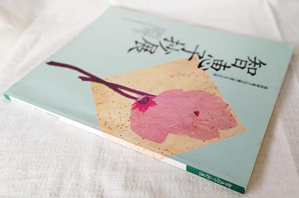 知恵子抄展 高村智恵子の芸術と恋とその生涯(二玄社) / 古本、中古本
