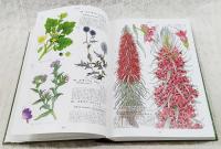 原色世界植物大図鑑