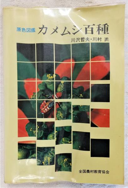 カメムシ百種　古書部　著)　川村満　原色図鑑(川沢哲夫,　日本の古本屋　ぶっくいん高知　古本、中古本、古書籍の通販は「日本の古本屋」