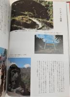 フィリピン・あゝ慟哭の山河：遺骨収集四十周年記念写真集