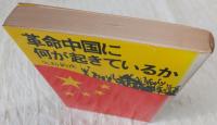 革命中国に何が起きているか