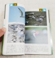 身近な野鳥