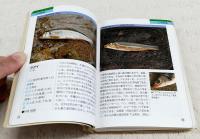 釣り魚カラー図鑑