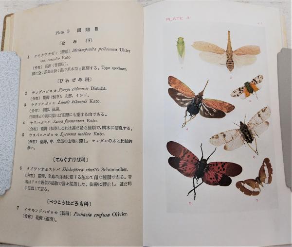 【輸入本】タイ語の鱗翅目専門書【図鑑】 明倫館書店 / 蝶類・蛾類