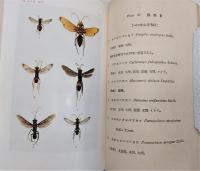 雙翅目・膜翅目 : か・はへ・あり・はち