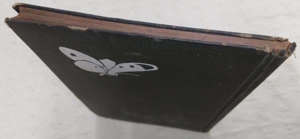 通俗蝶類図説 : 採集必携(岡崎常太郎 著) / 古本、中古本、古