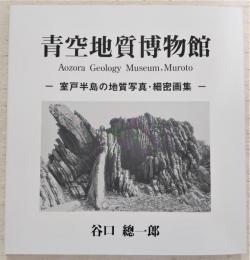 青空地質博物館：室戸半島の地質写真・細密画集