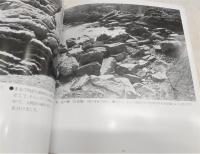 青空地質博物館：室戸半島の地質写真・細密画集
