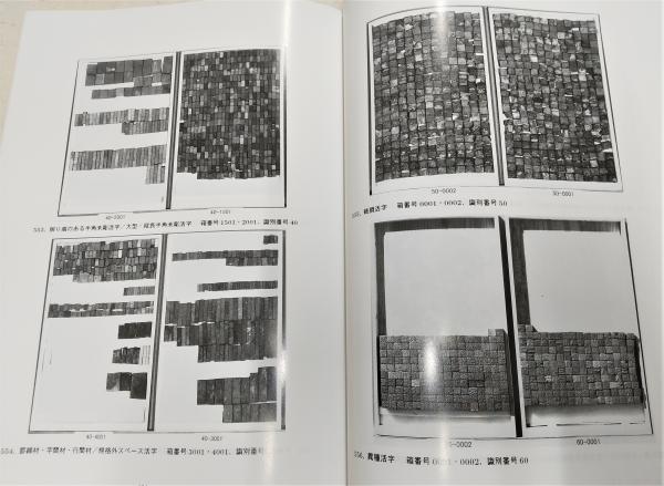 寛永寺蔵天海版木活字を中心とした出版文化財の調査・分類・保存