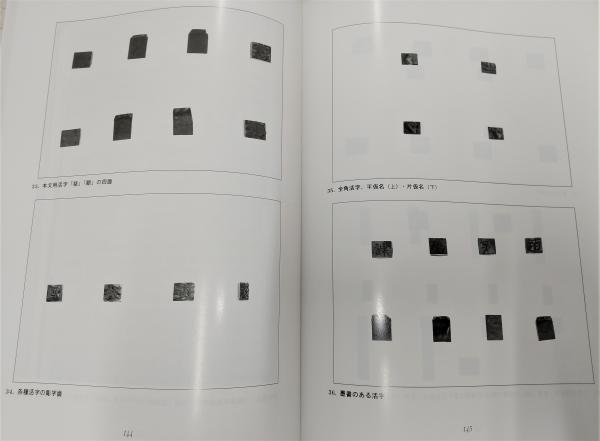 寛永寺蔵天海版木活字を中心とした出版文化財の調査・分類・保存