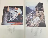 土佐和紙　全2巻(1、本文編/2、標本紙編)