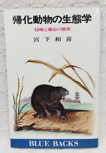 井上靖歴史紀行文集 全4巻揃い(井上靖著) / ぶっくいん高知 古書