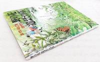 野の花道ばたの草 : さいているところさがそう